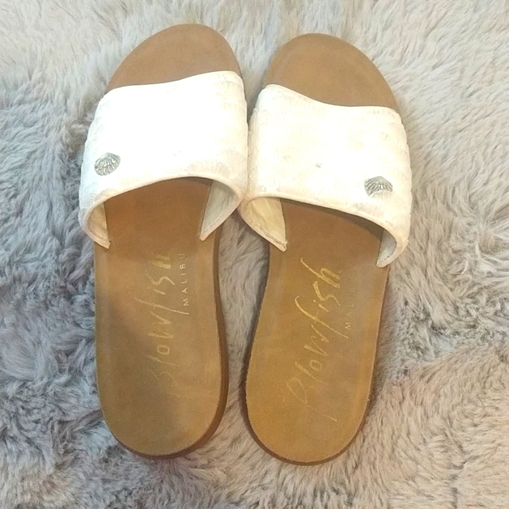 Blowfish Slides